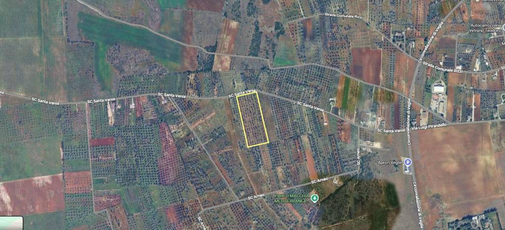 immagine annuncio 4 di 6