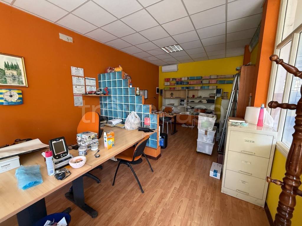 immagine annuncio 11 di 15