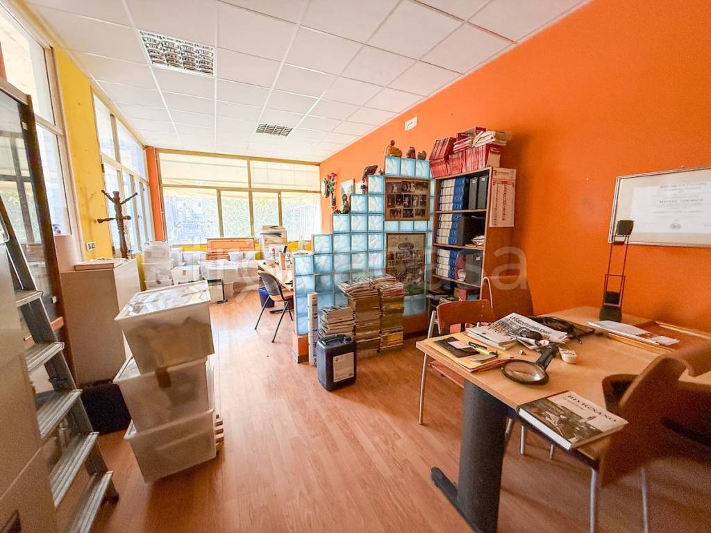 immagine annuncio 12 di 15