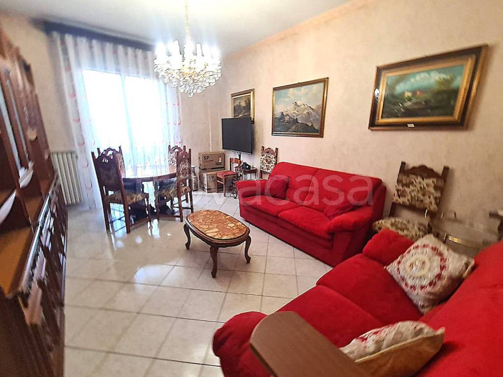 immagine annuncio 3 di 13