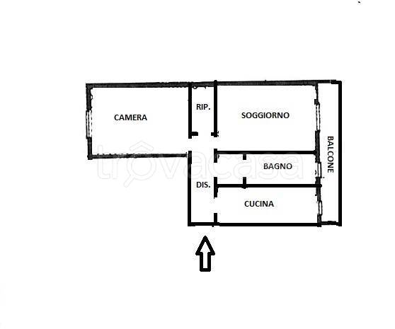 immagine annuncio 12 di 13