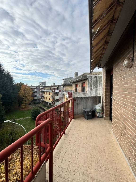 immagine annuncio 6 di 15