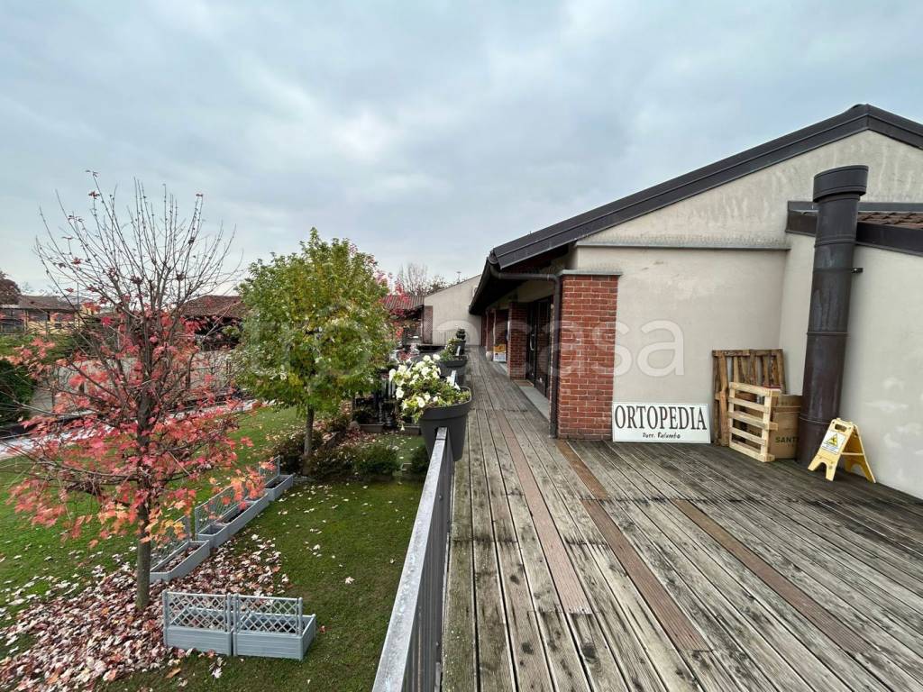 immagine annuncio 5 di 7