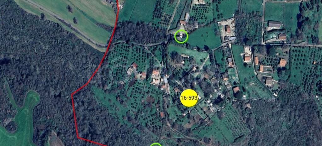 immagine annuncio 1 di 11