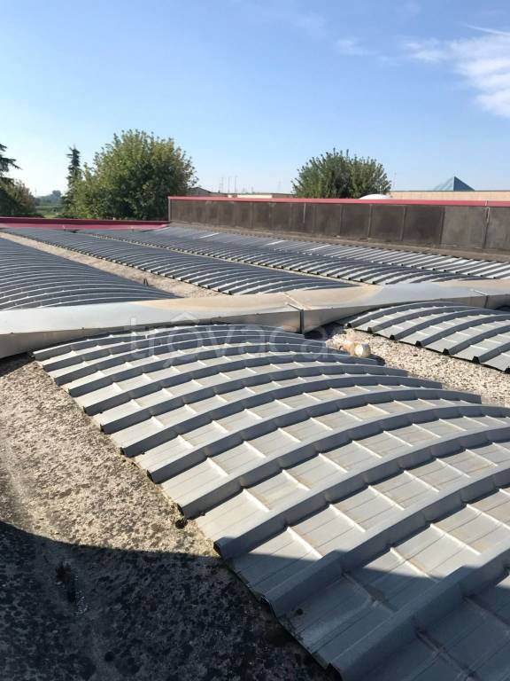 immagine annuncio 10 di 11