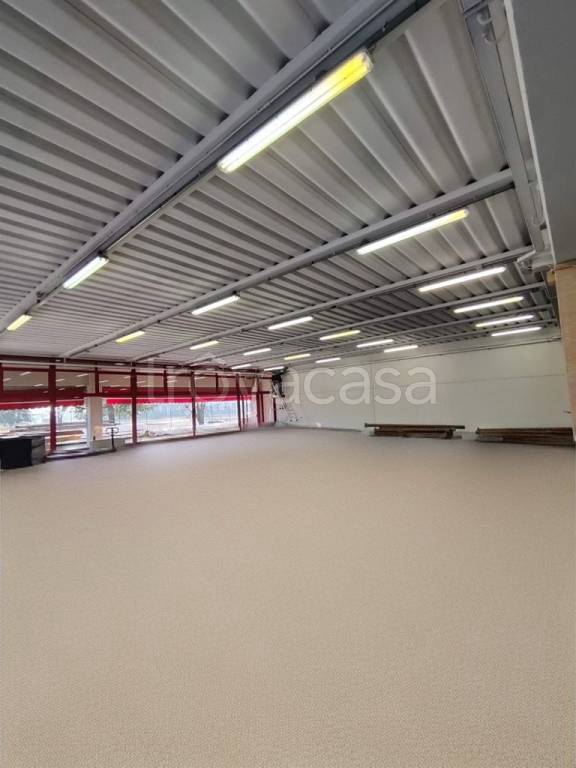 immagine annuncio 4 di 11