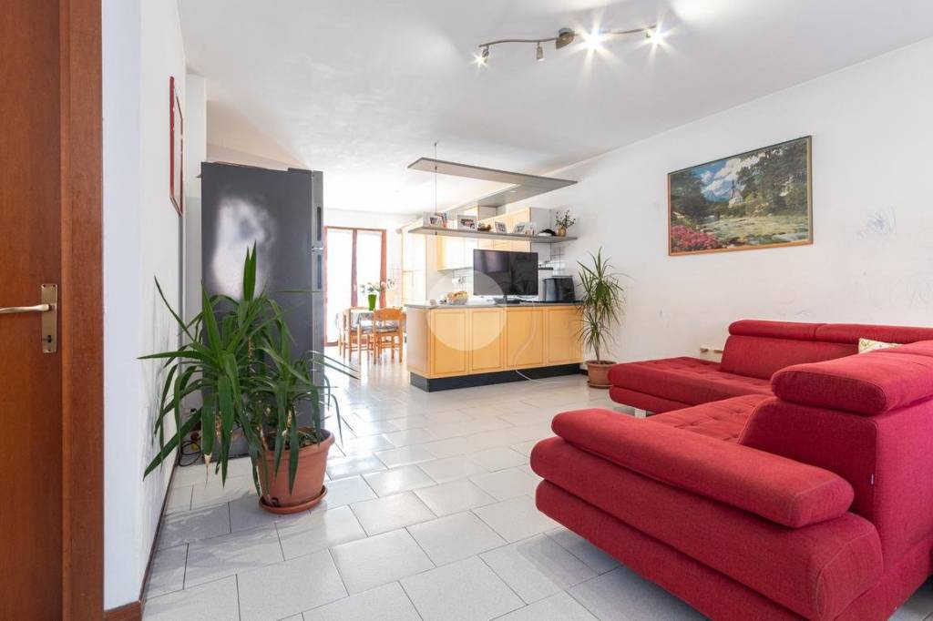 immagine annuncio 2 di 14