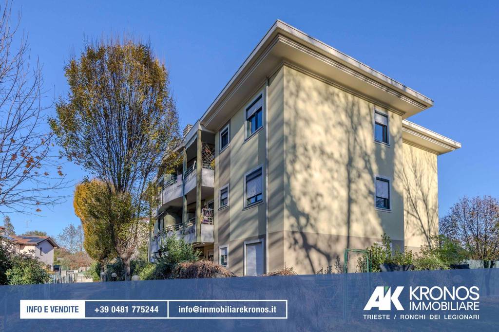 immagine annuncio 1 di 12