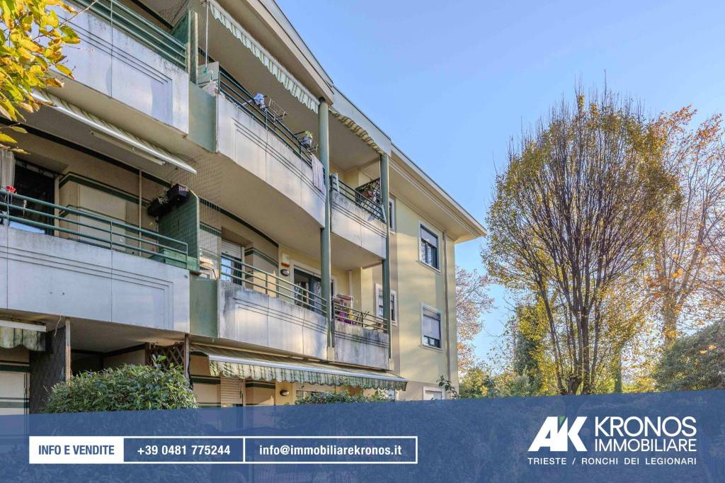 immagine annuncio 2 di 12