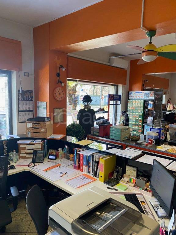 immagine annuncio 3 di 13