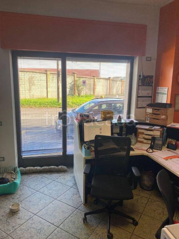 immagine annuncio 4 di 13