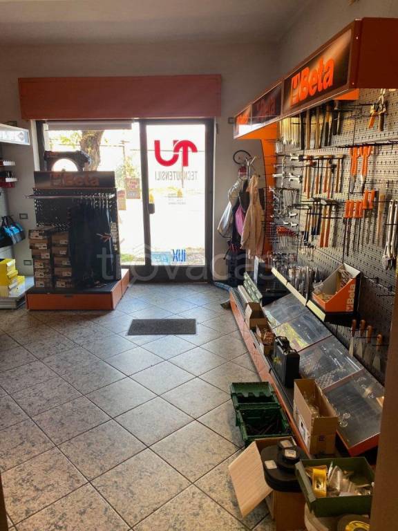 immagine annuncio 10 di 13