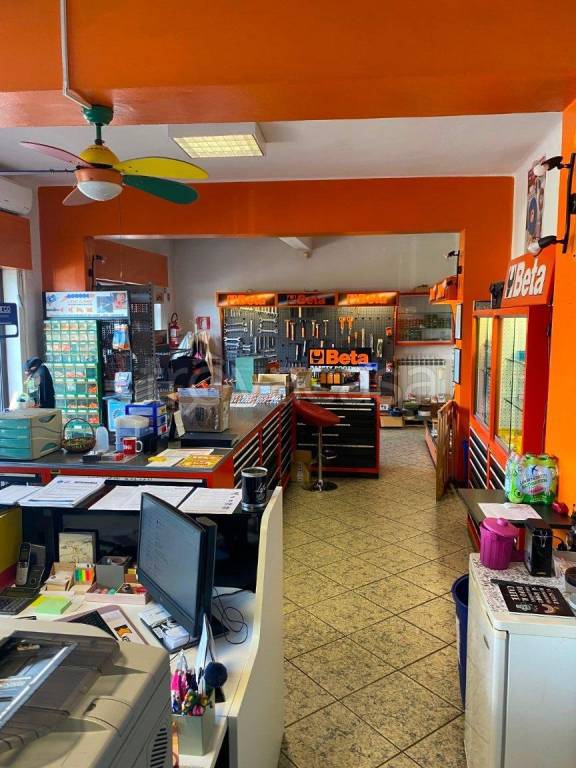 immagine annuncio 11 di 13