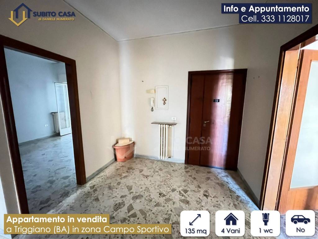 immagine annuncio 1 di 13