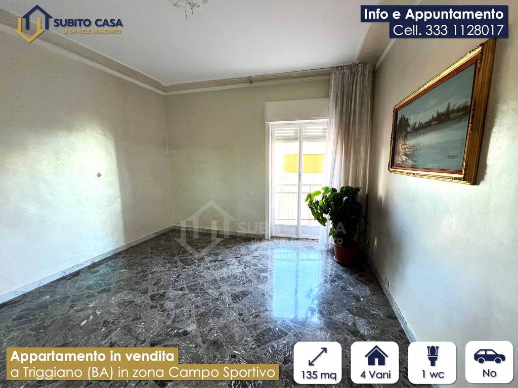 immagine annuncio 3 di 13