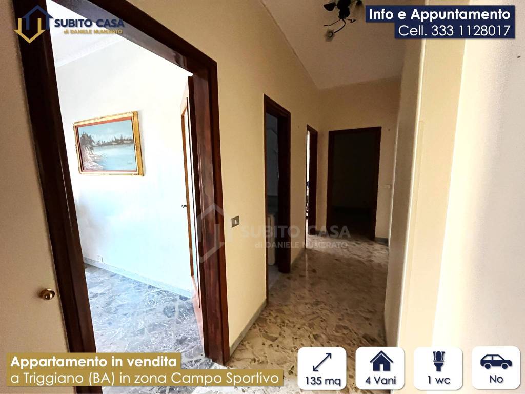 immagine annuncio 5 di 13