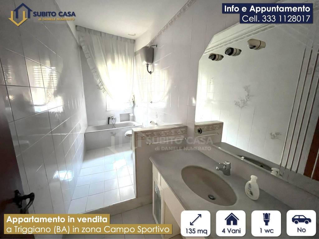 immagine annuncio 6 di 13