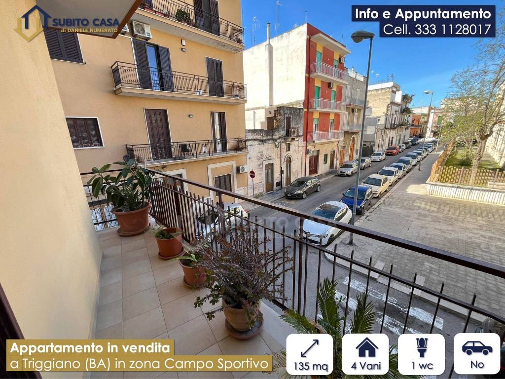 immagine annuncio 7 di 13