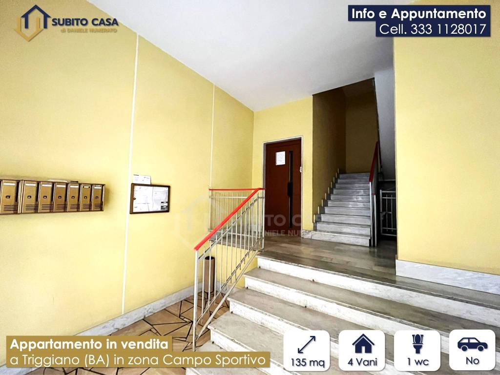 immagine annuncio 10 di 13