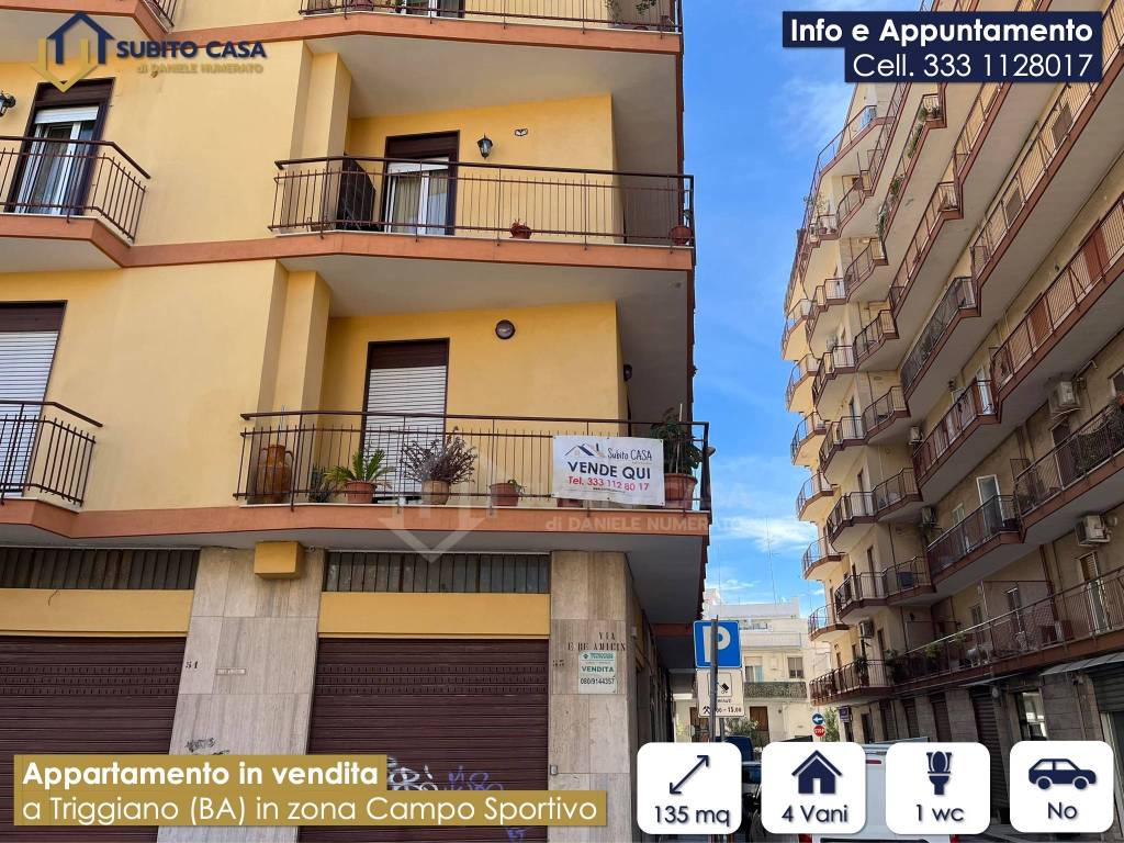 immagine annuncio 11 di 13