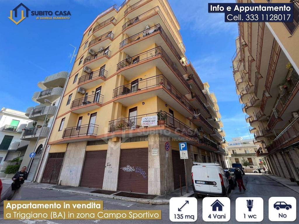 immagine annuncio 12 di 13