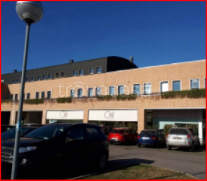 immagine annuncio 2 di 11