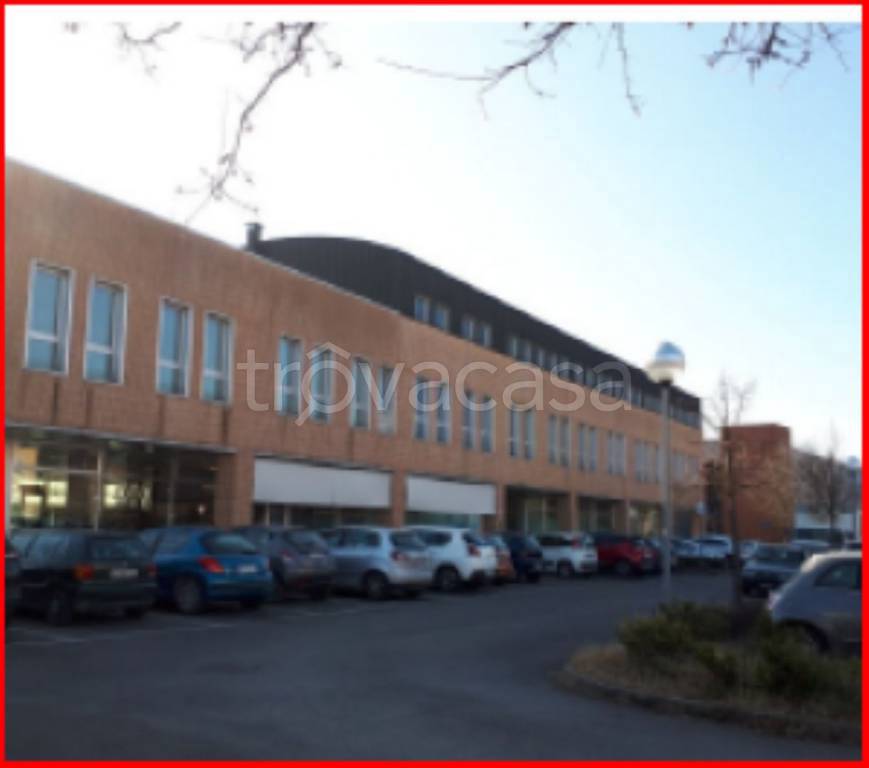 immagine annuncio 3 di 11