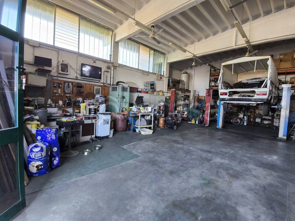 immagine annuncio 3 di 8