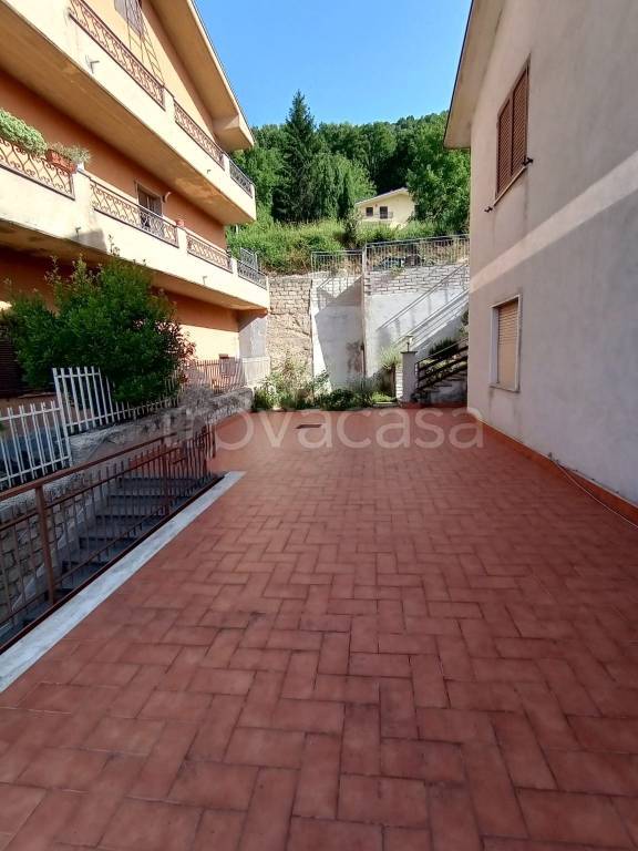 immagine annuncio 9 di 12