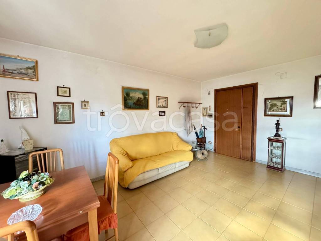 immagine annuncio 4 di 12