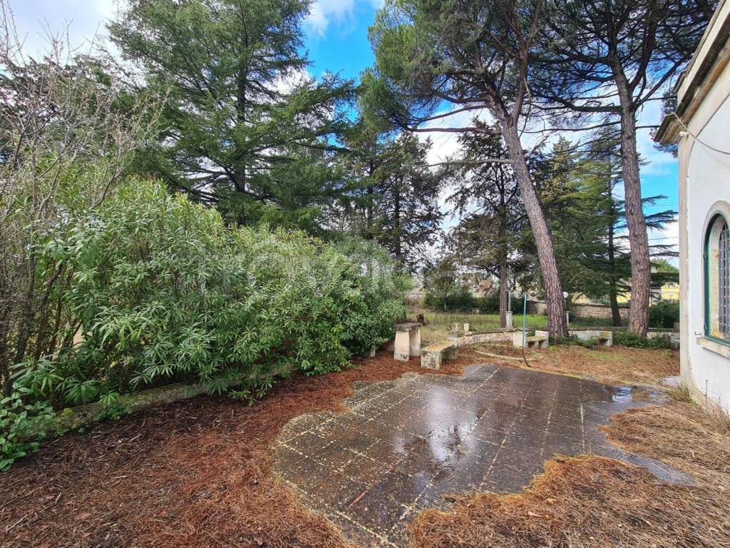 immagine annuncio 2 di 6