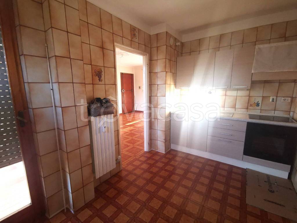 immagine annuncio 9 di 14