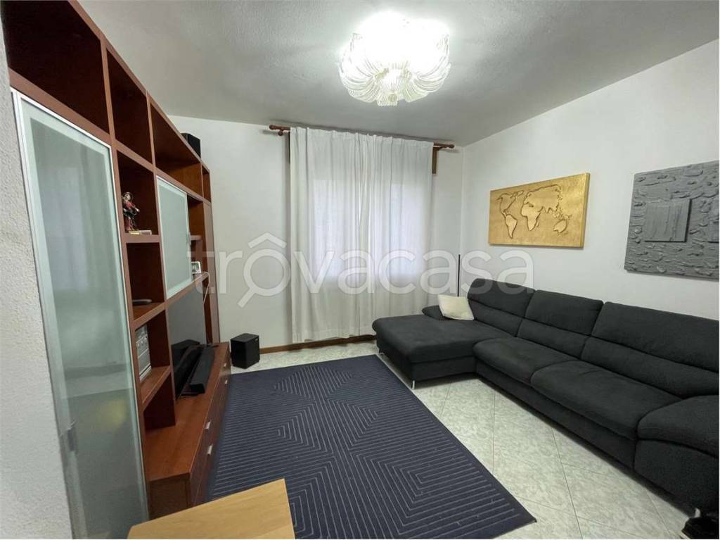 immagine annuncio 1 di 14