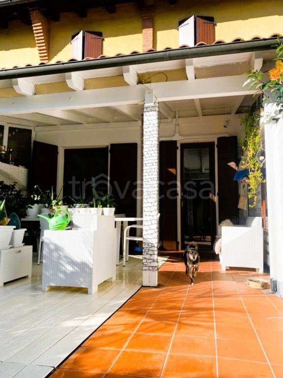 immagine annuncio 5 di 15