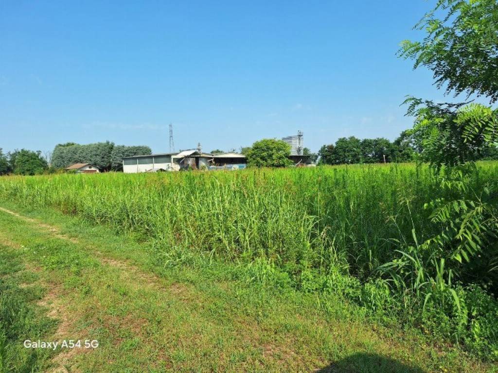 immagine annuncio 2 di 14