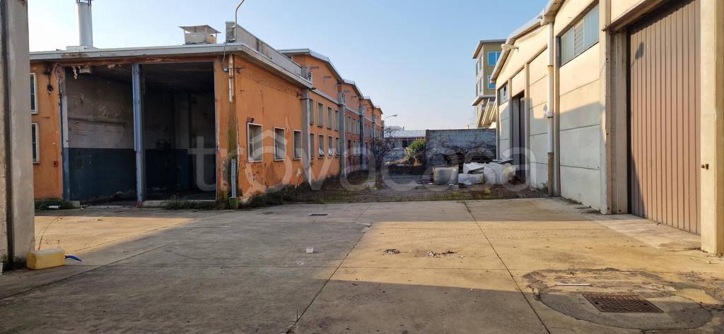 immagine annuncio 9 di 15