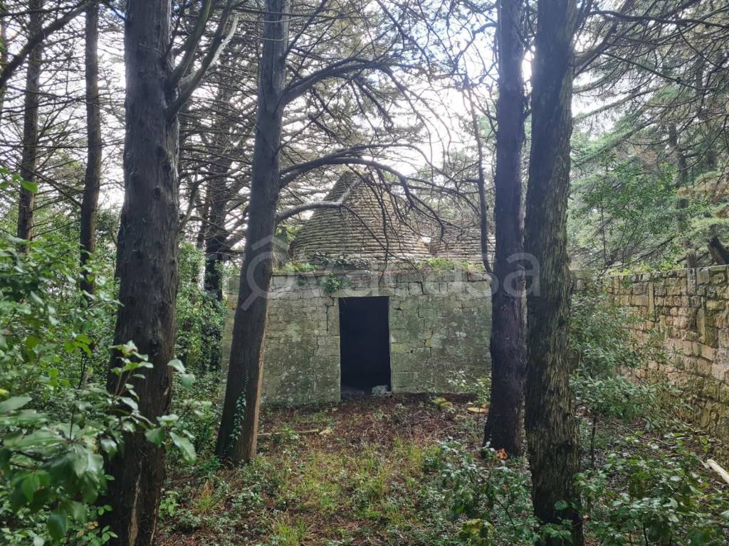 immagine annuncio 5 di 6