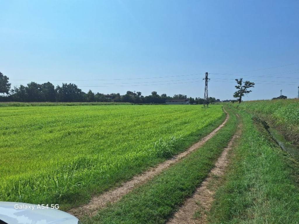 immagine annuncio 2 di 14