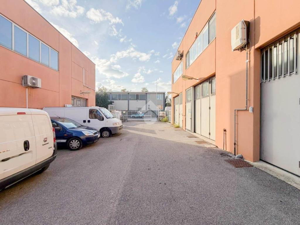 immagine annuncio 1 di 15