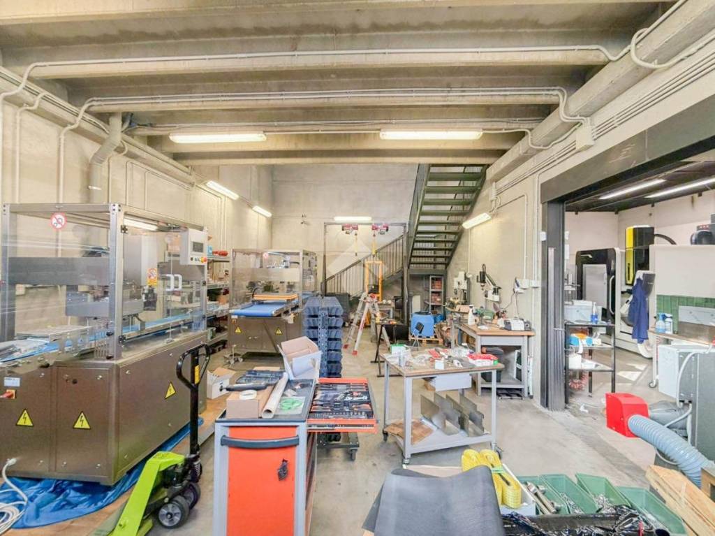 immagine annuncio 9 di 15