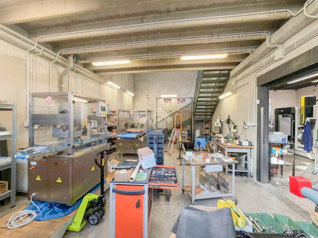 immagine annuncio 12 di 15