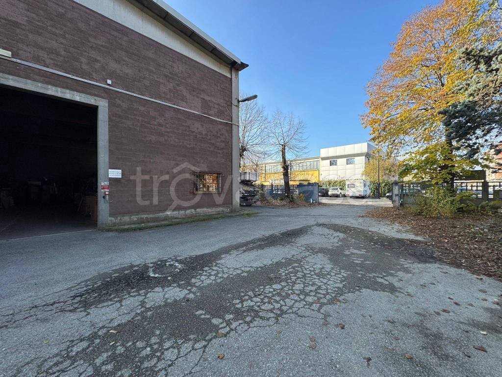 immagine annuncio 1 di 15