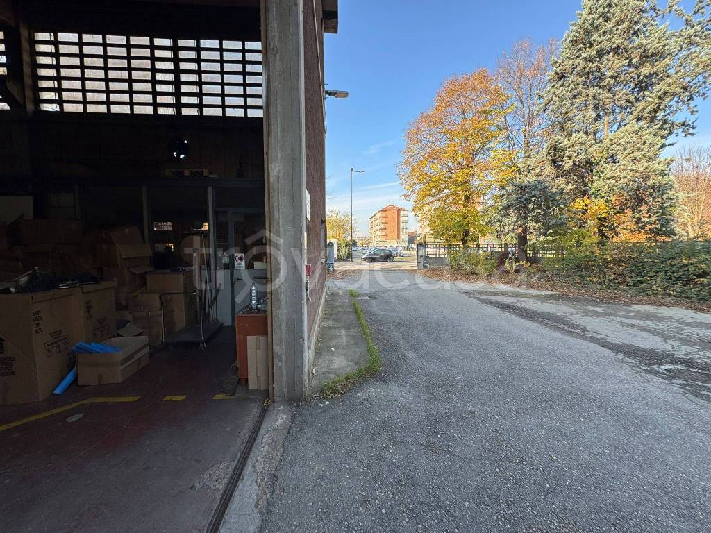 immagine annuncio 5 di 15