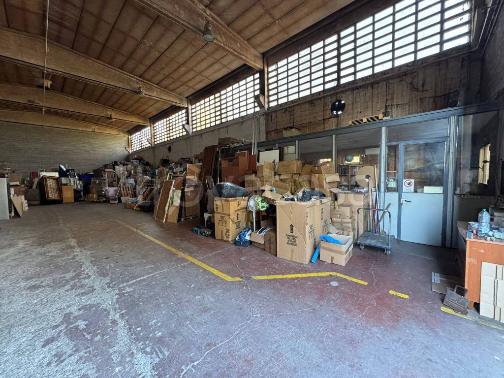 immagine annuncio 9 di 15