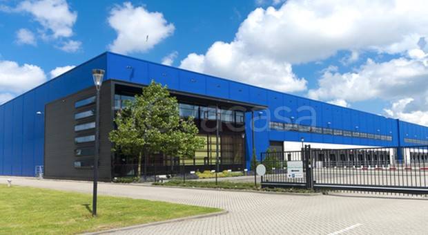 immagine annuncio 4 di 7