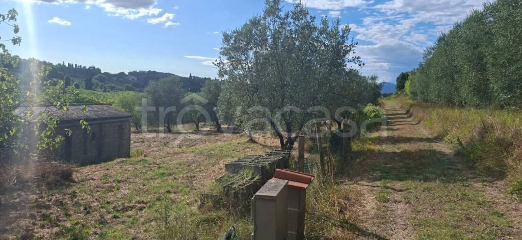 immagine annuncio 2 di 14