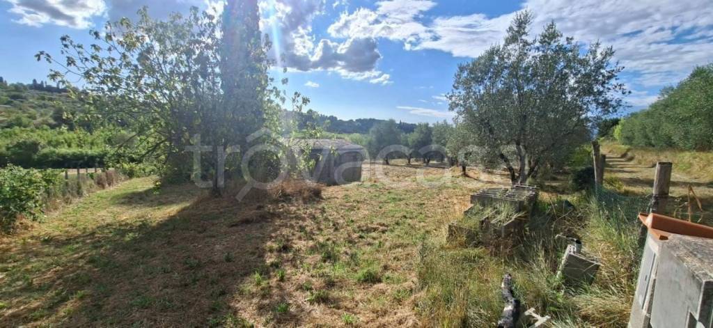 immagine annuncio 4 di 14