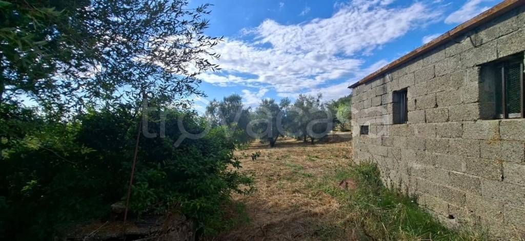 immagine annuncio 5 di 14