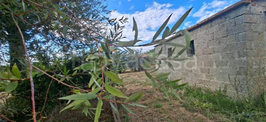 immagine annuncio 6 di 14