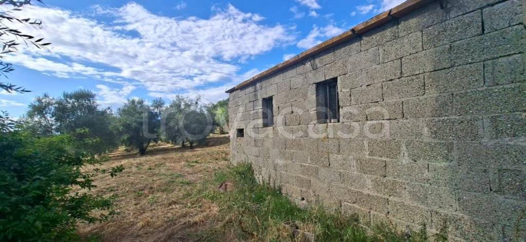 immagine annuncio 7 di 14